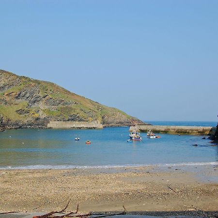 Dolphin Lodge Port Isaac Exteriér fotografie