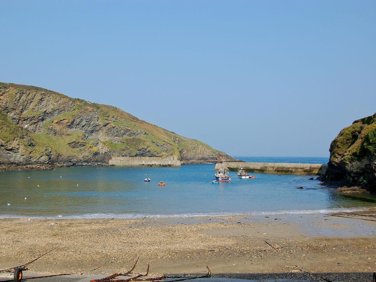 Dolphin Lodge Port Isaac Exteriér fotografie